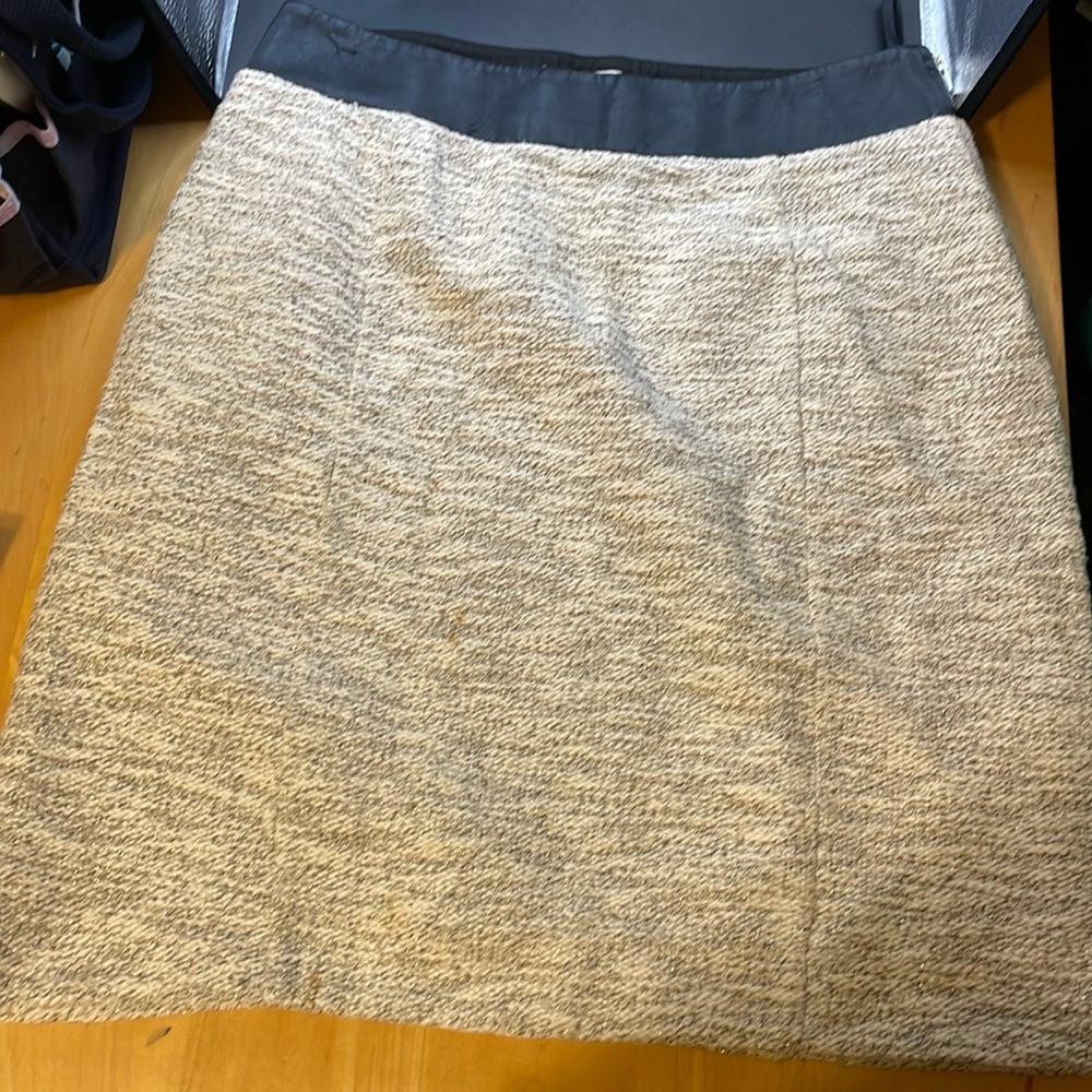 Banana Republic Women's Skirt (000108)